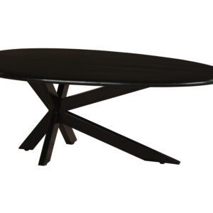 Obsidian Oval Statement Coffee Table